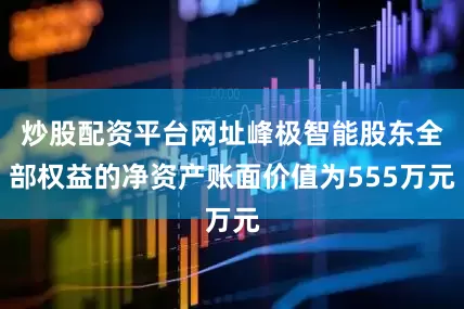 炒股配资平台网址峰极智能股东全部权益的净资产账面价值为555万元